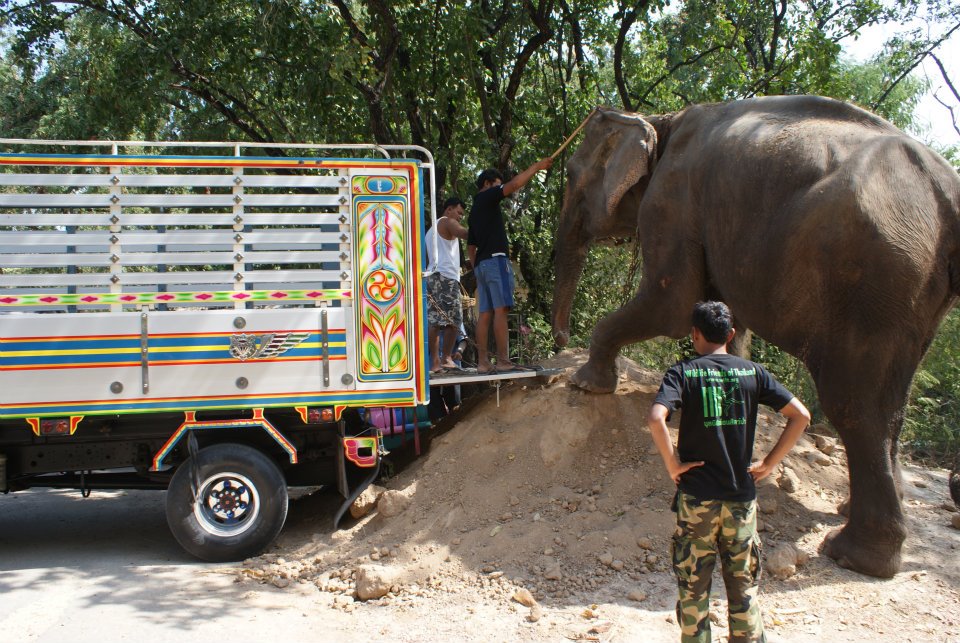 'Joan' arrived at WFFT