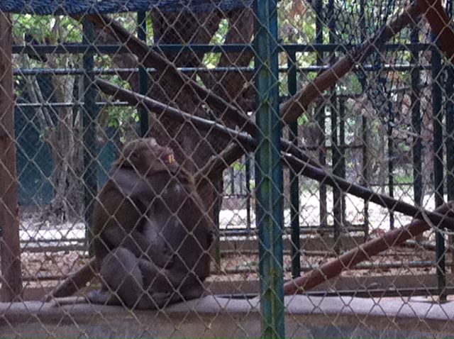 First interaction after 8 years in solitary captivity...