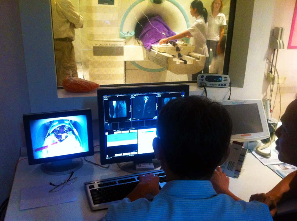 MEOW! A tiger undergoing an MRI scan