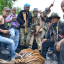 Wild tiger killed in Yala province