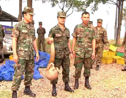 Thai marines pose with pangolins
