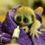 Baby loris rescue at WFFT forest