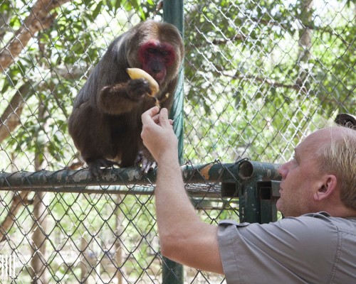 Getting friends after 22 years solitary confinement