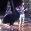 Cassowary rescue update