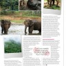 Walking with elephants