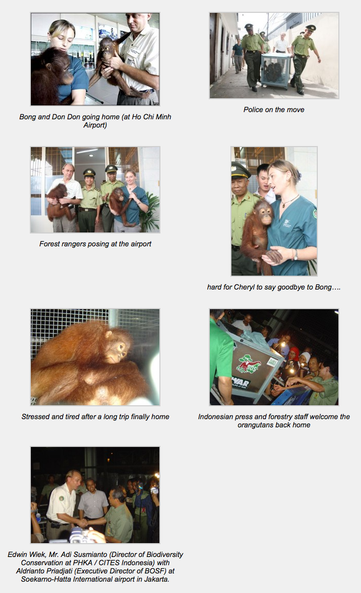 Screen Shot 2012-12-13 at 04.03.00