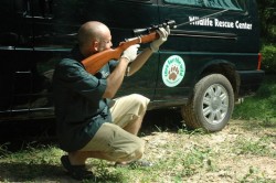 The use of a dart-gun makes catching injured wildlife such as macaques easier and safer for both animal and our team