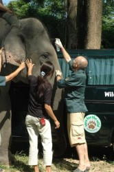 Small head injuries are unfortunately very common but easy to treat