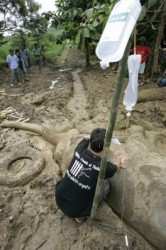A WFFT veterinarian treating the wild elephant in distress