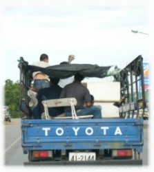 Moving the ostrich on a truck to  the rescue center...