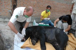 treatbear2 treatbear2