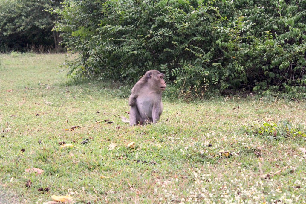 Stumpy at WFFT 2012 Stumpy at WFFT 2012