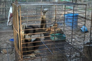 dnp1 Picture taken at DNP