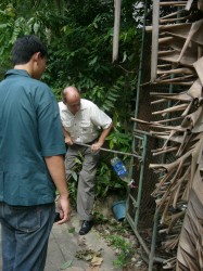 gibbon rescue 009 gibbon rescue 009