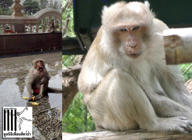 Recovered from injury and ready to go home again Recovered from injury and ready to go home again