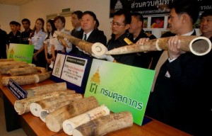 3.-Thai-customs-officials-display-seized-smuggled-elephant-tusks-during-a-news-conference-at-Suvarnabhumi-Airport-in-Bangkok-on-July-14-e1345092400904