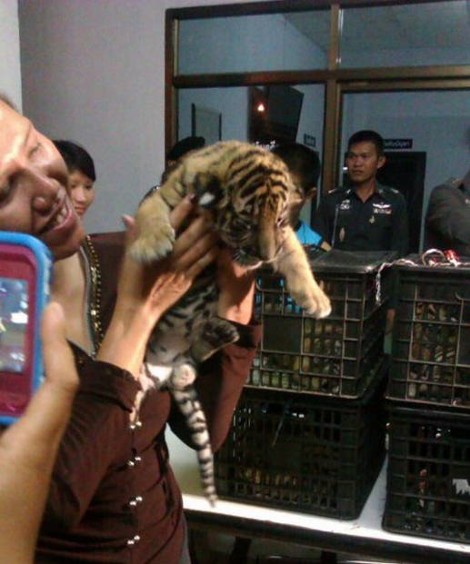 Screen Shot 2012-10-30 at 8.44.55 AM