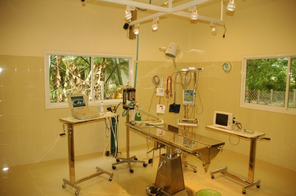 Surgery room at WFFT