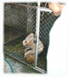 Bong On The Floor Of Her Enclosure