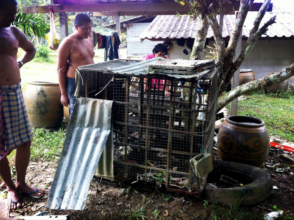 KingKong's "home" for 7 years