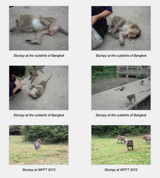 Screen Shot 2012-12-13 at 05.37.55