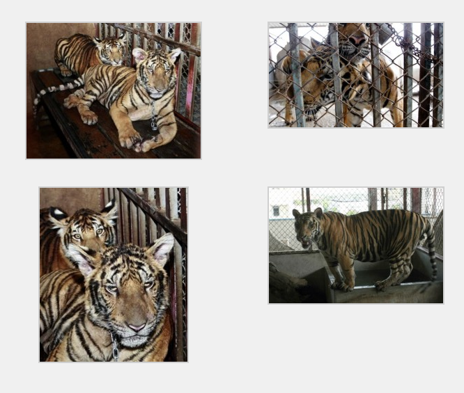 Screen Shot 2012-12-13 at 09.03.17