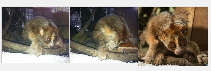 Screen Shot 2012-12-13 at 09.15.35