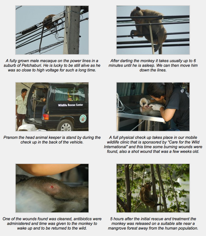 Screen Shot 2012-12-13 at 10.24.54