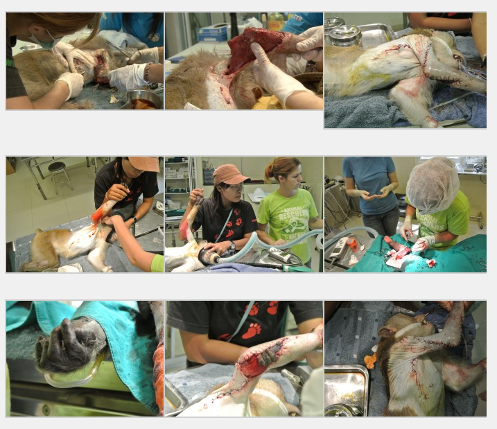 Screen Shot 2012-12-13 at 11.00.57