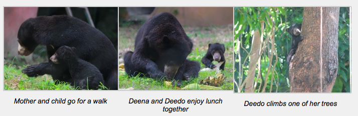 Screen Shot 2012-12-13 at 11.07.20