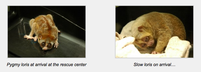 Screen Shot 2012-12-13 at 12.31.57