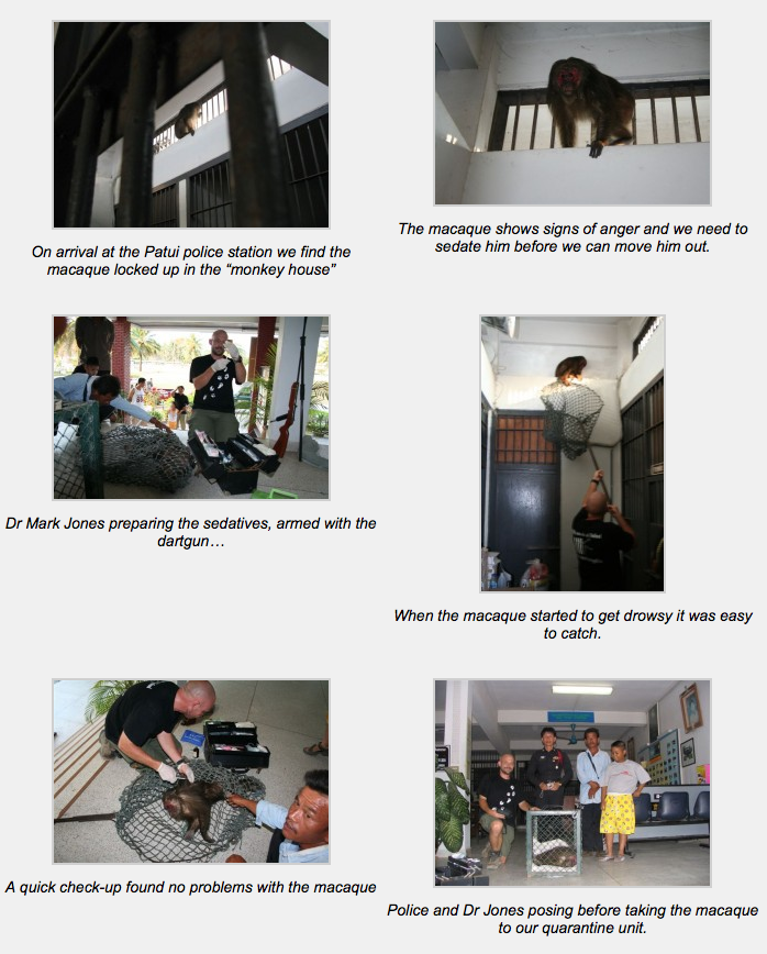 Screen Shot 2012-12-13 at 14.22.19