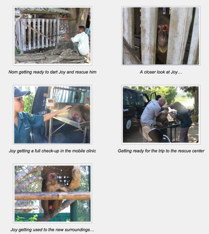 Screen Shot 2012-12-13 at 20.05.20