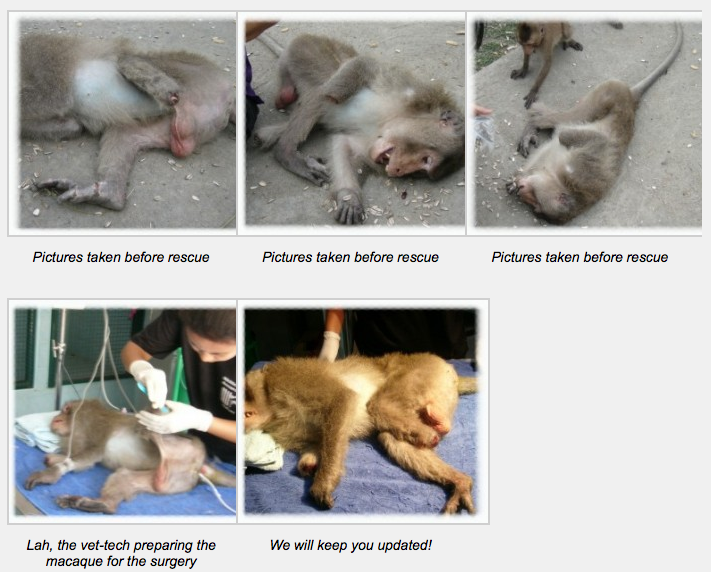 Screen Shot 2012-12-13 at 21.40.25