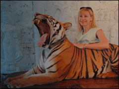 A Tourist Poses With A ‘Photo-Prop’ Tiger