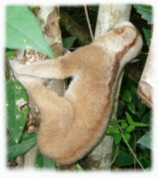 A Second Chance Of Freedom