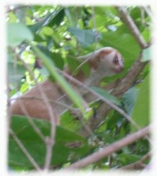 Pictures Copyrights Wfft