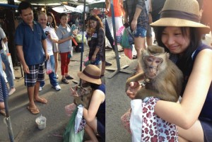 A monkey exploited on Bangkok weekend market