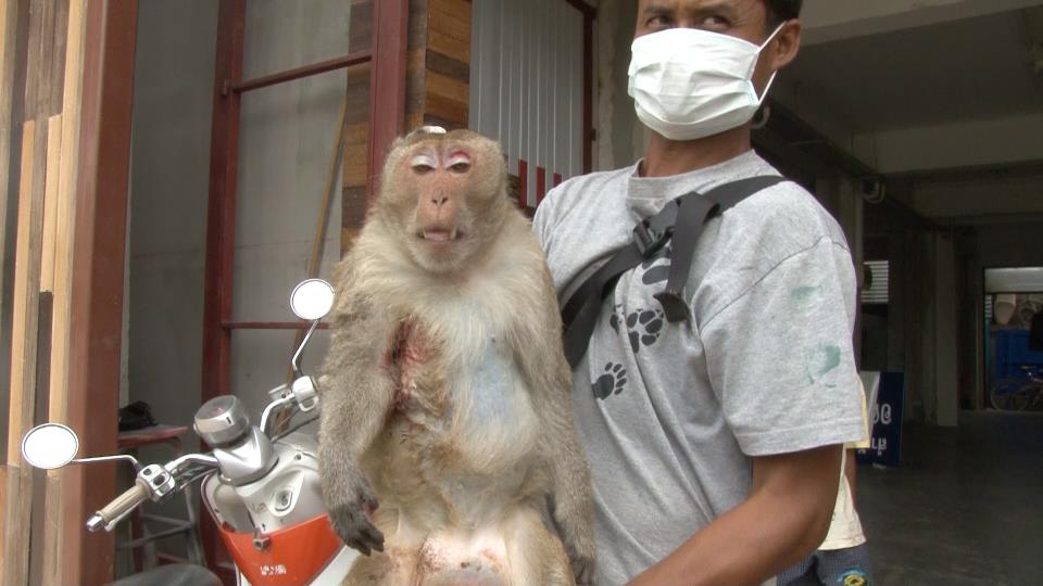 Sedated at Petchburi