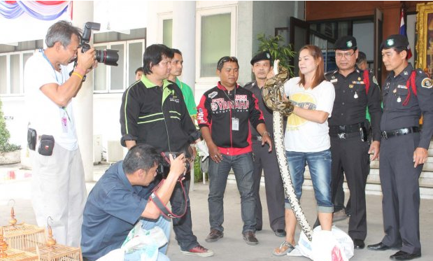 Screen Shot 2013-01-31 at 8.29.34 AM