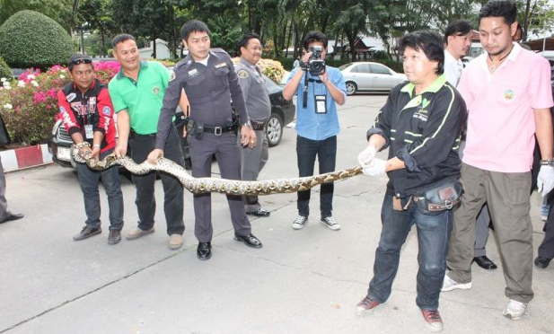 Screen Shot 2013-01-31 at 8.30.04 AM