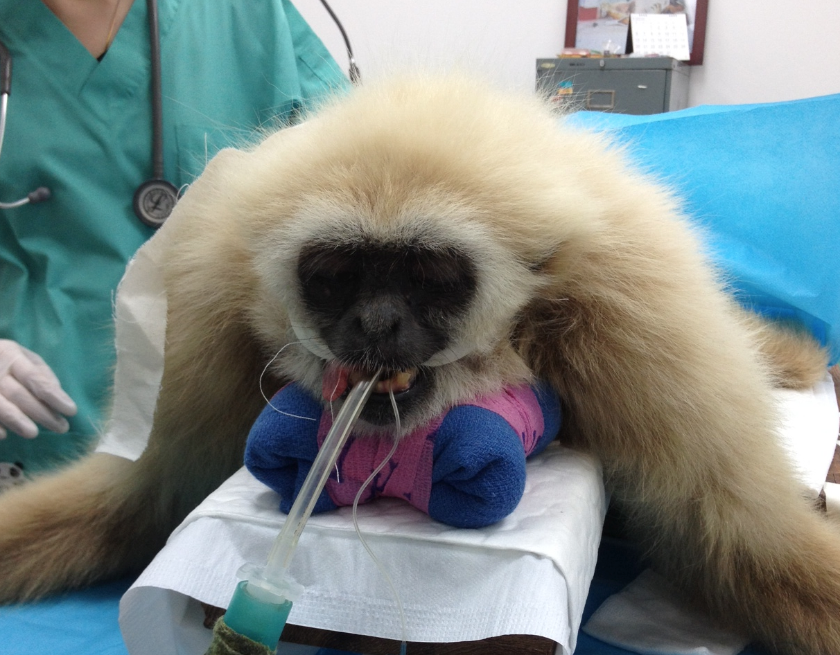 Screen Shot 2013-02-08 at 5.49.45 PM