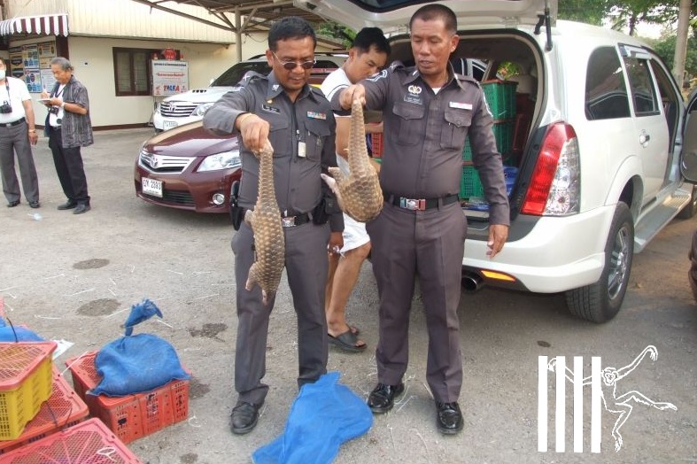 Police show two of the pangolins in front of the luxury vehicle