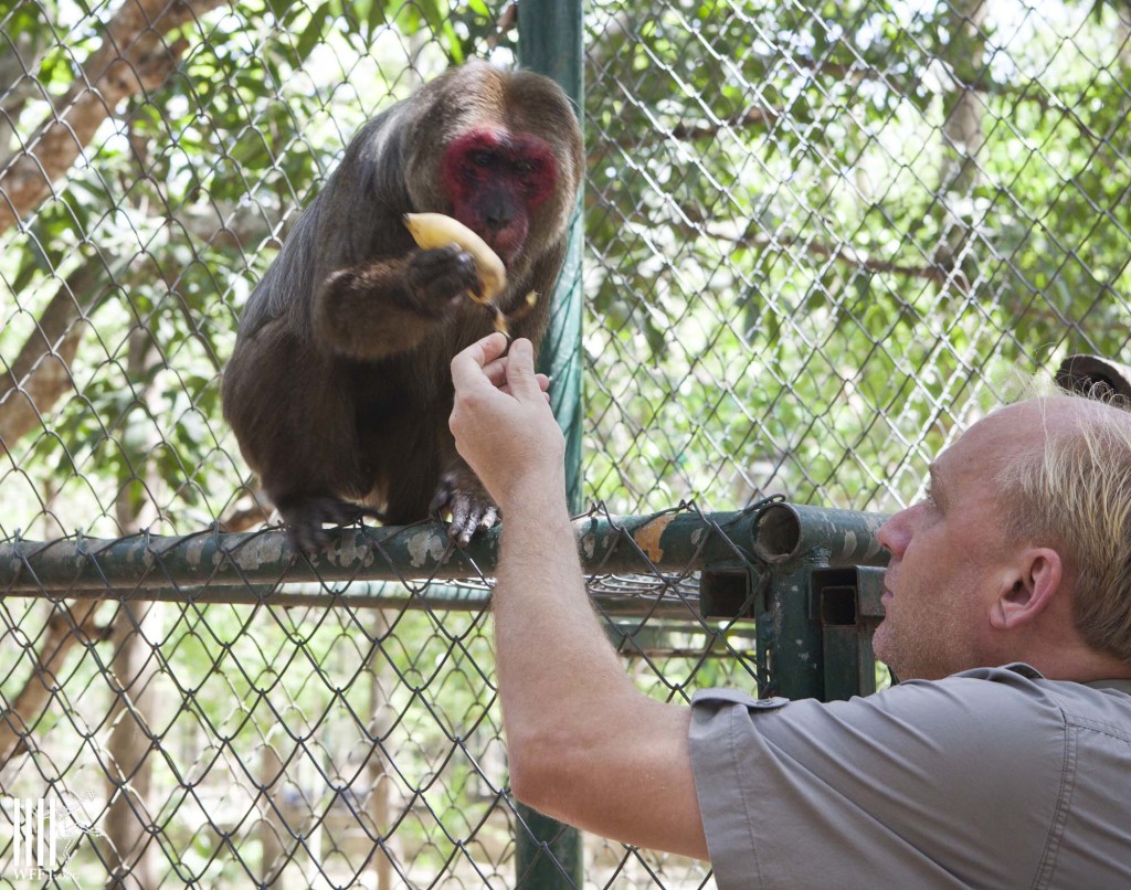 Edwin gets John and Nadaeng closer by feeding both