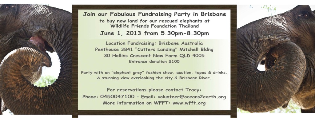 Join us June 1st to help our rescued elephants to new land!