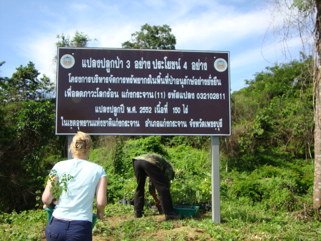 One of the project signs marking the reforestation area