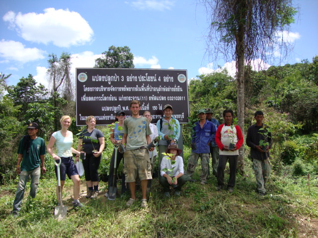 Staff and volunteers on-site