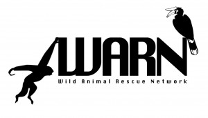WARN logo