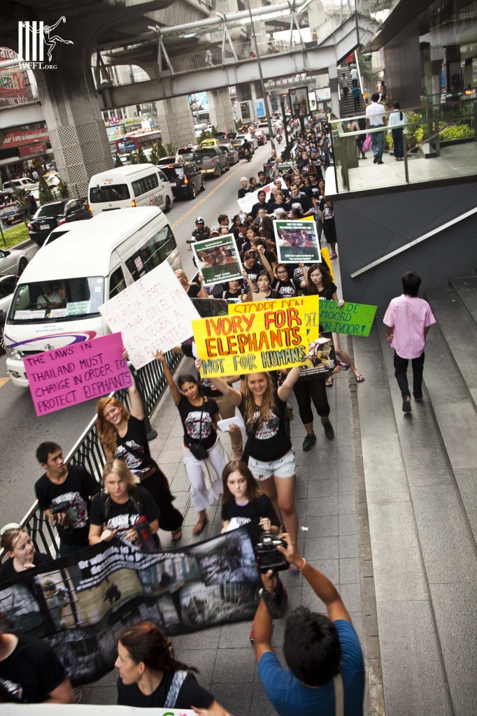 Anti-Ivory_Crowd29_041013