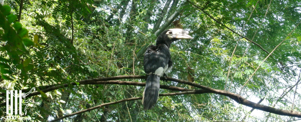 Screen Shot 2013-12-26 at 08.52.46